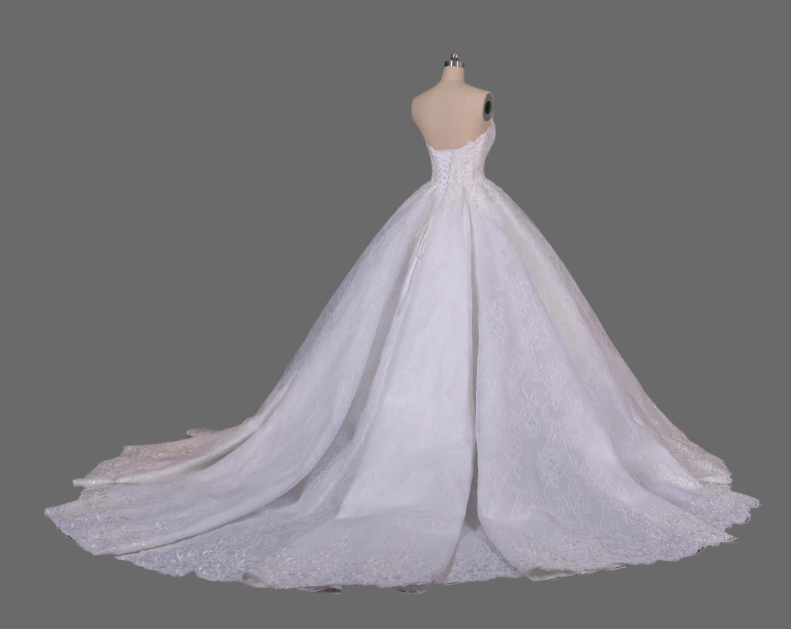 Hot Sale Ball Gown Lace appliques Wedding Dress