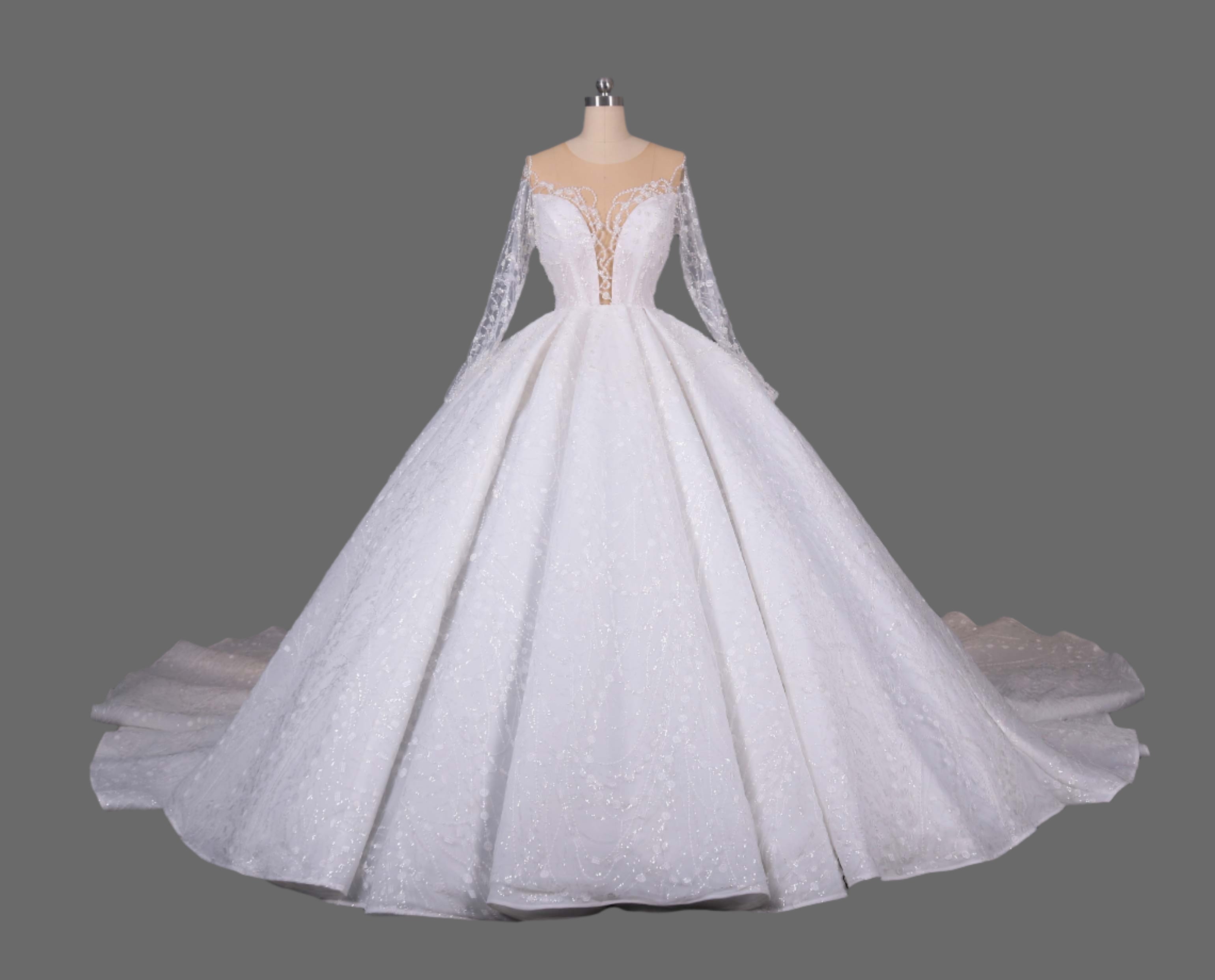 Illusion Long Sleeve Ball Gown Wedding Dress