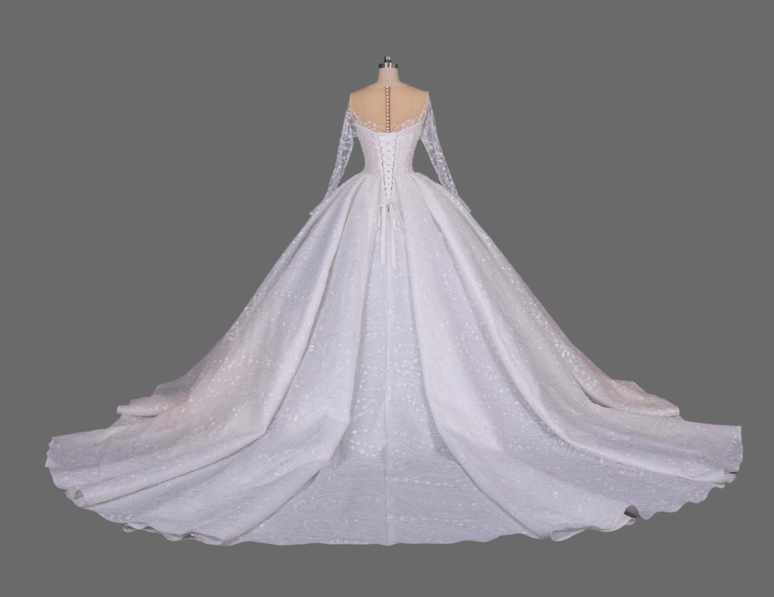 Illusion Long Sleeve Ball Gown Wedding Dress