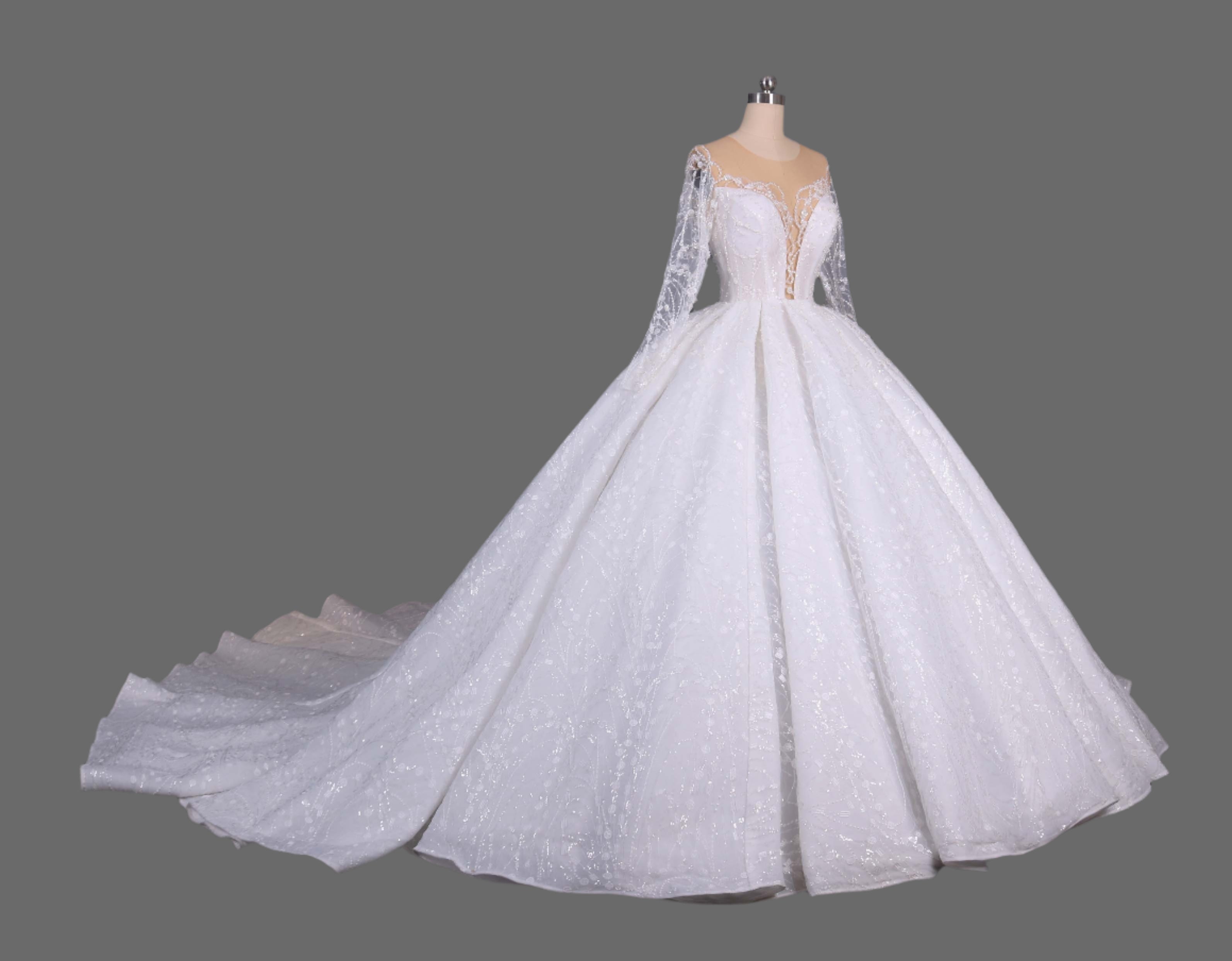 Illusion Long Sleeve Ball Gown Wedding Dress