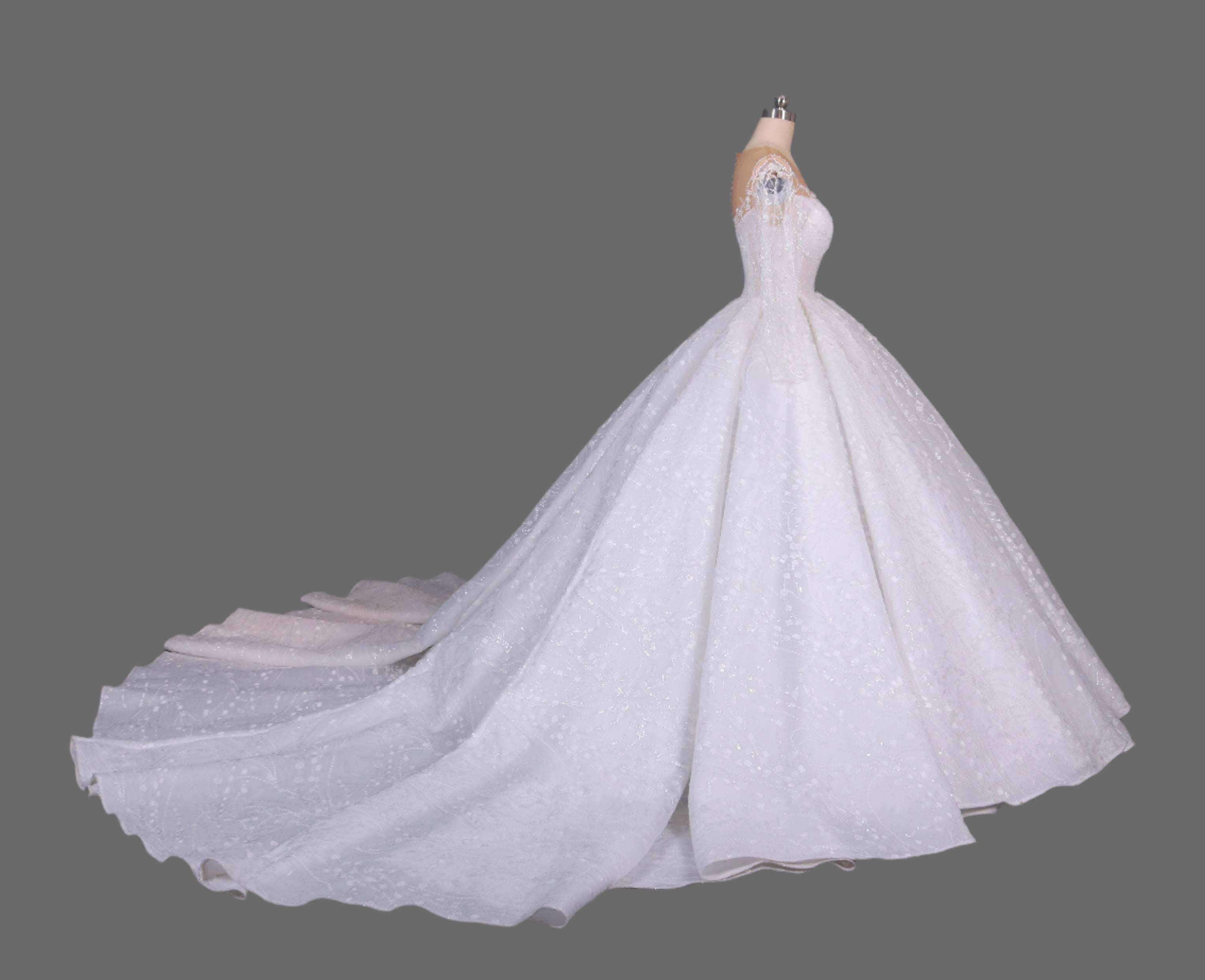 Illusion Long Sleeve Ball Gown Wedding Dress
