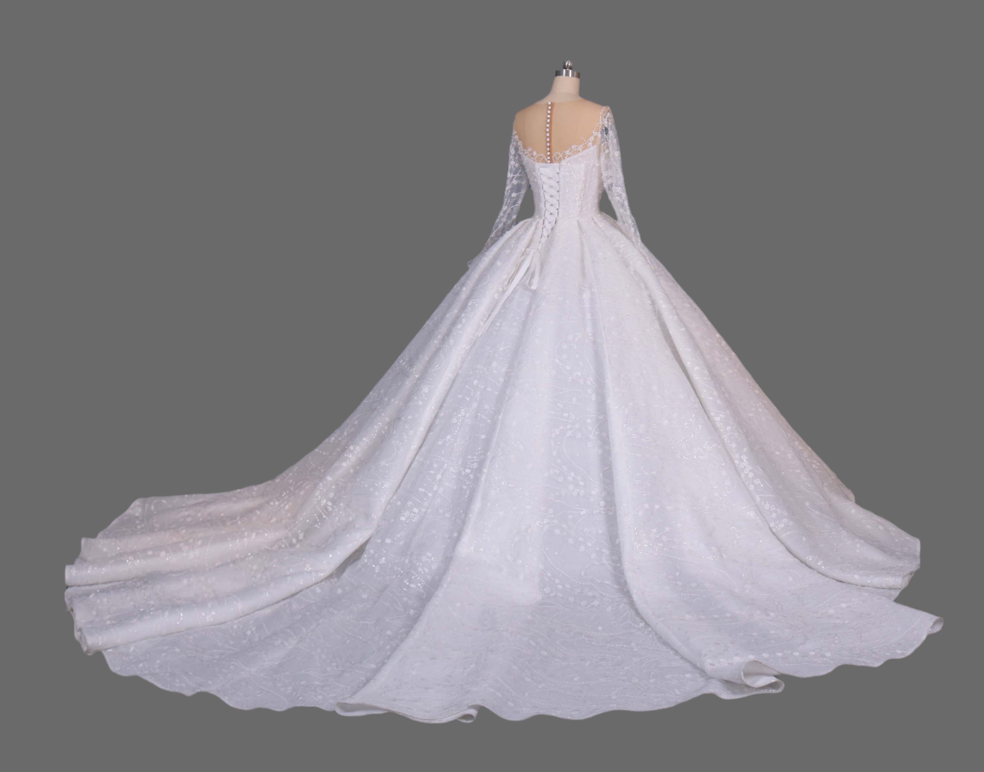 Illusion Long Sleeve Ball Gown Wedding Dress