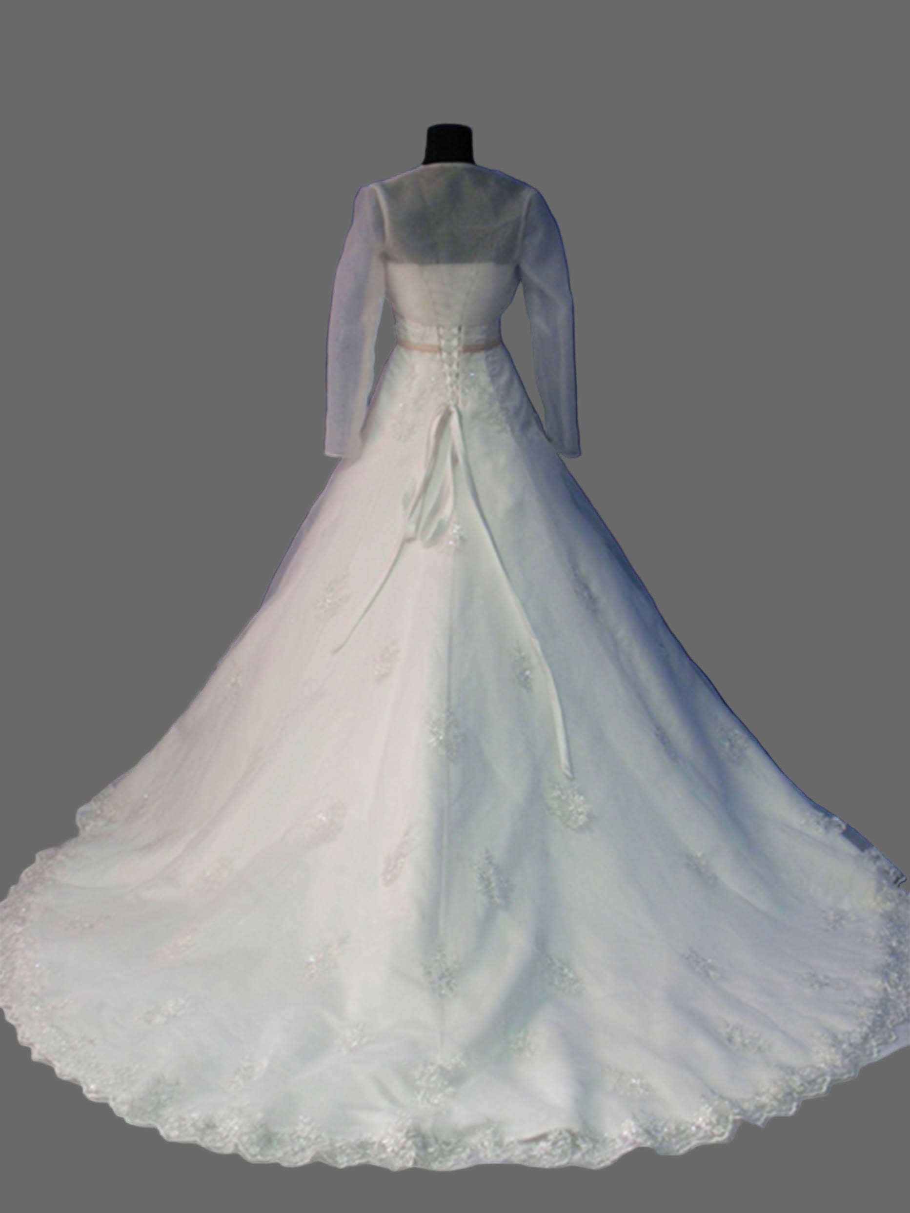 Luxury Strapless A-Line Wedding Dress with Crystal Beading & Embroidered Lace Train