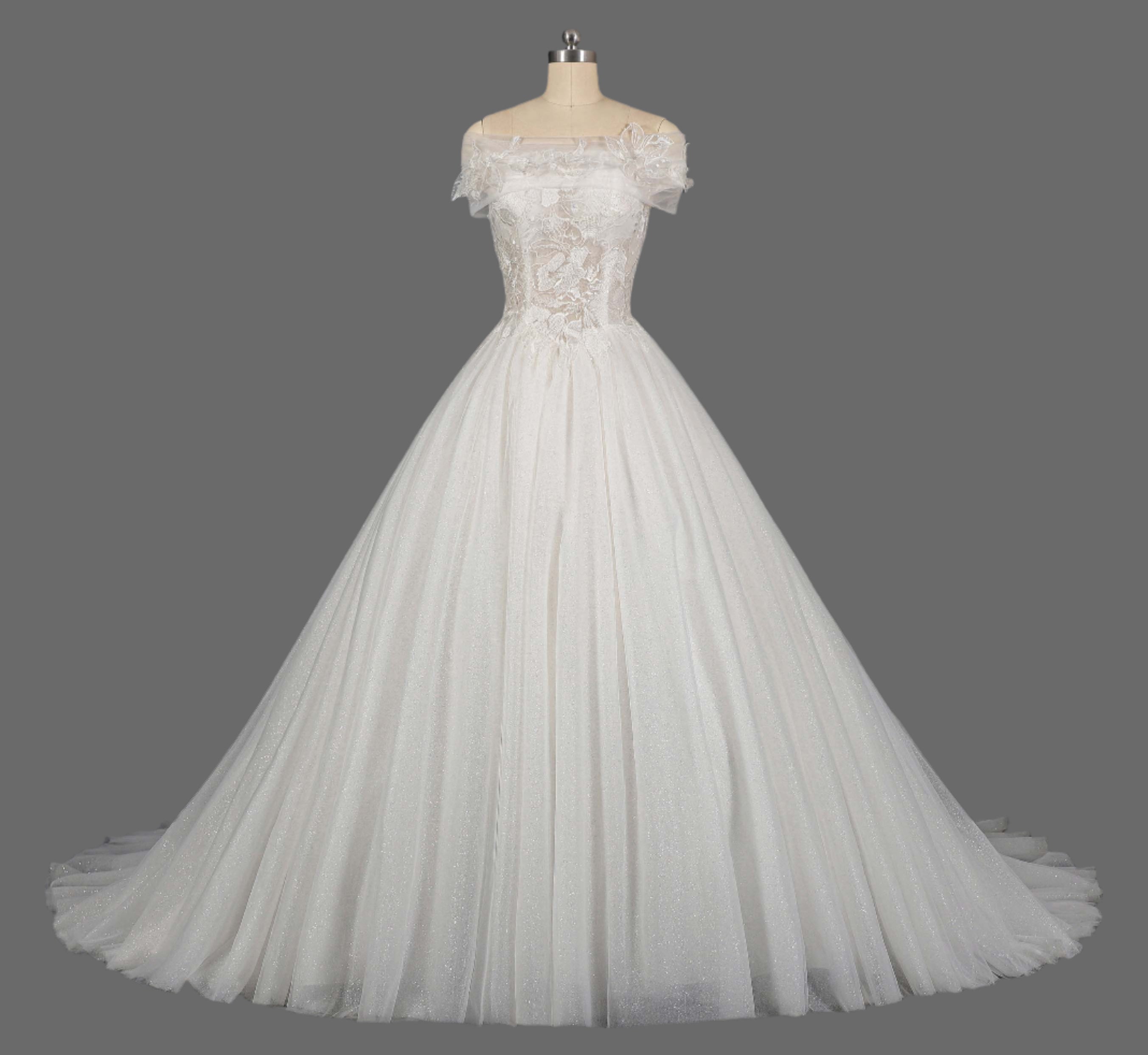 Off-the-Shoulder Lace Appliqued A-Line Wedding Dress