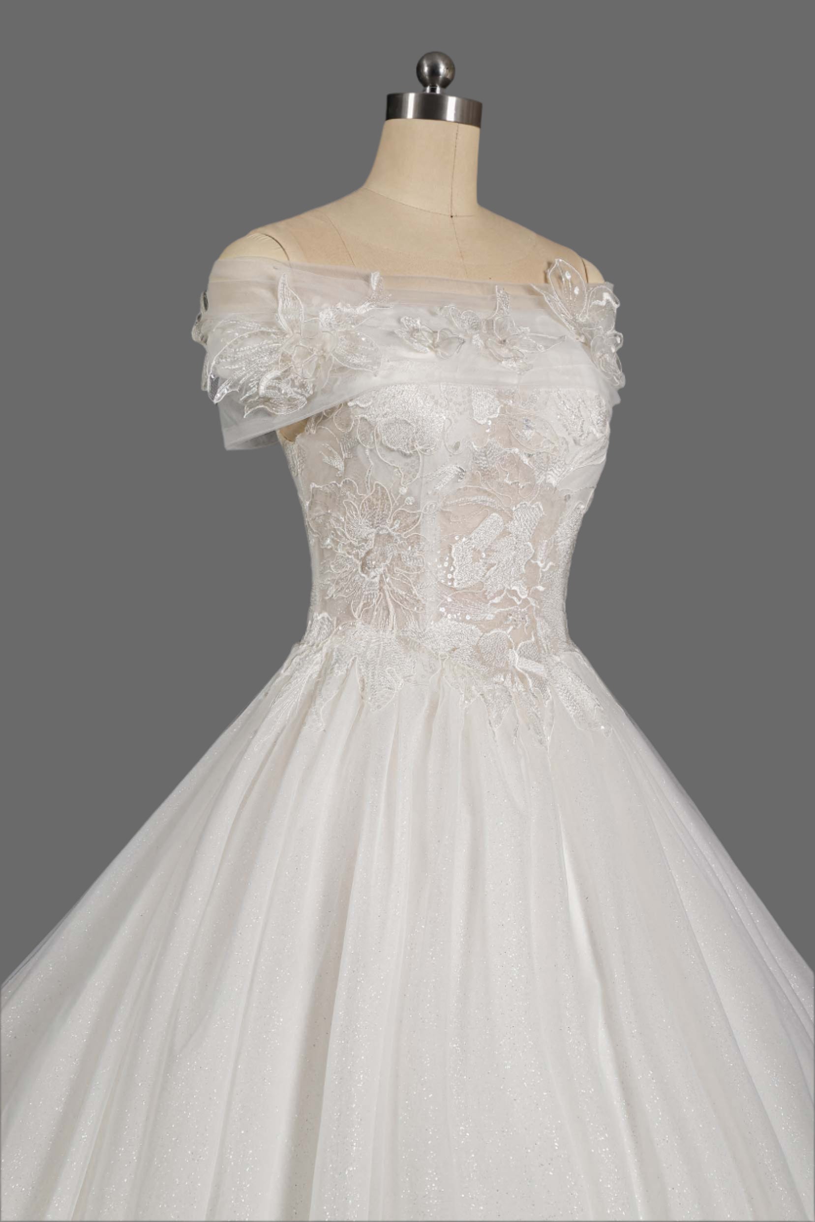 Off-the-Shoulder Lace Appliqued A-Line Wedding Dress