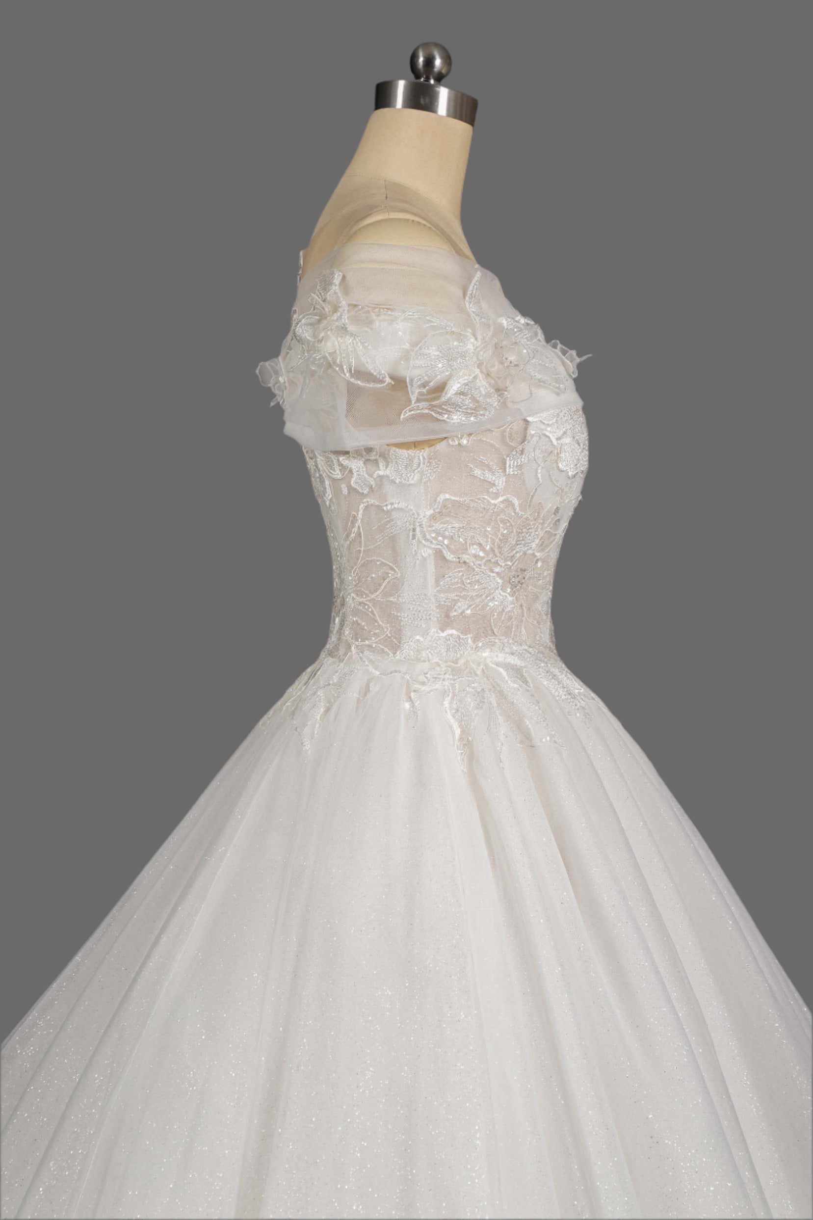 Off-the-Shoulder Lace Appliqued A-Line Wedding Dress