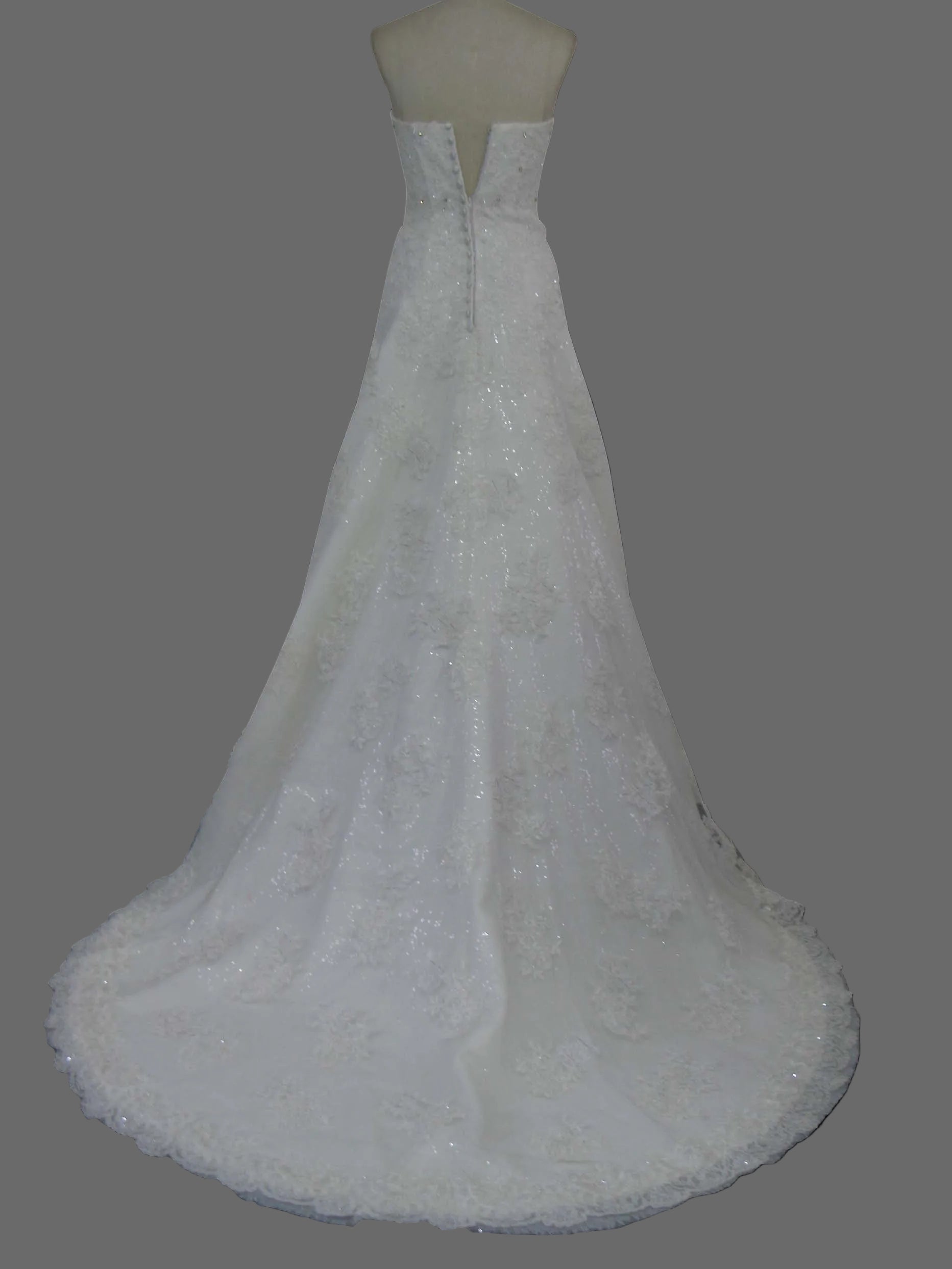 Strapless A-Line Wedding Dress with Sparkle Tulle  Cathedral Train - Glitter Bridal Gown